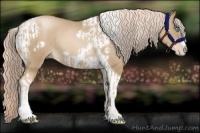 Horse Color:Chocolate Palomino Pearl Tobiano Frame  and Chocolate Palomino Pearl Tobiano Frame 