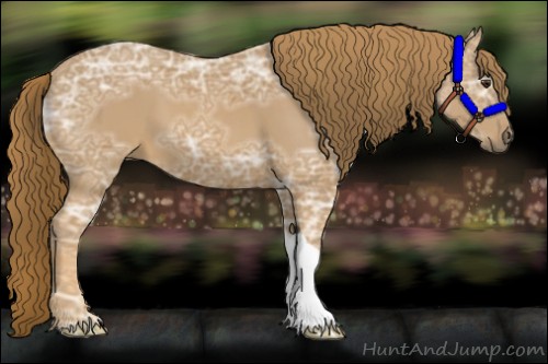 Horse Color:Chestnut Ice 