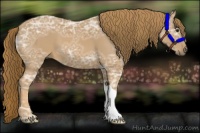 Horse Color:Chestnut Ice 