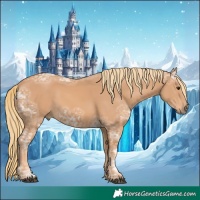 Horse Color:Chestnut Ice 