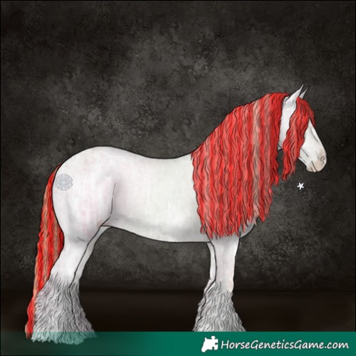 Horse Color:Painted Grullo Ice Pearl Appaloosa 