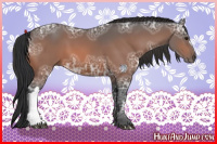 Horse Color:Bay Ice 