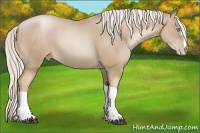 Horse Color:Chocolate Palomino Pearl