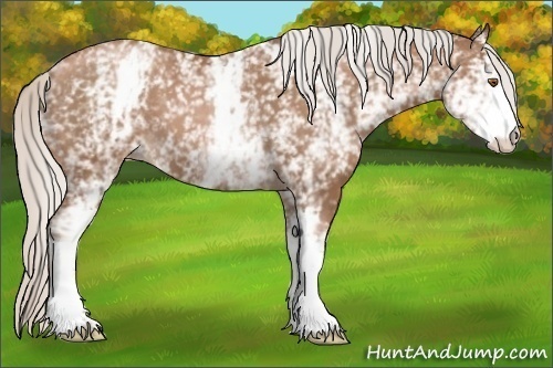 Horse Color:White Spotted Silver Black Pearl