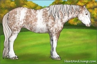 Horse Color:White Spotted Silver Black Pearl 
