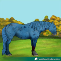 Horse Color:ERROR: UNKNOWN ANOMALY