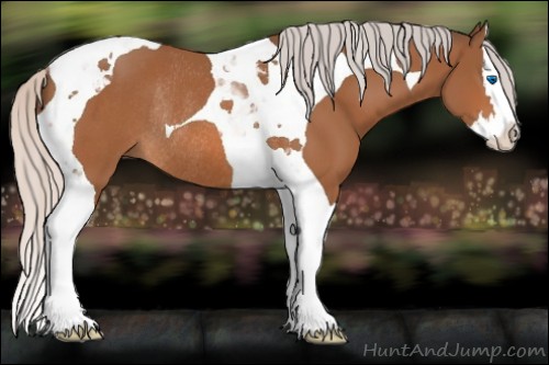 Horse Color:Silver Bay Splash Tobiano Rabicano 