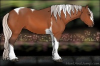 Horse Color:Silver Bay Tobiano 