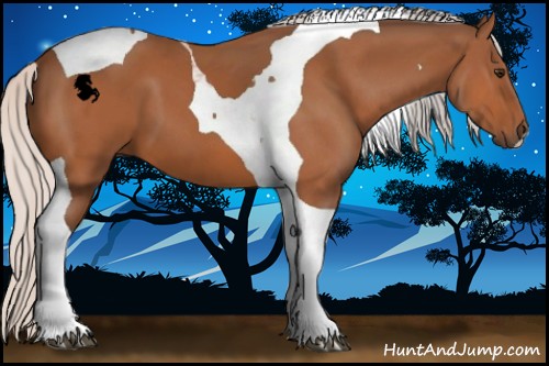 Horse Color:Silver Bay Tobiano 
