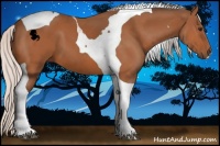 Horse Color:Silver Bay Tobiano 