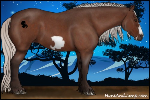 Horse Color:Silver Brown Roan Frame 