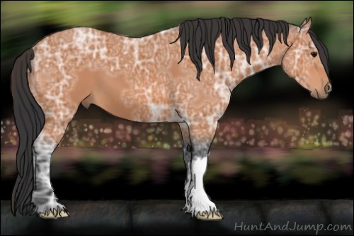 Horse Color:Bay Ice 