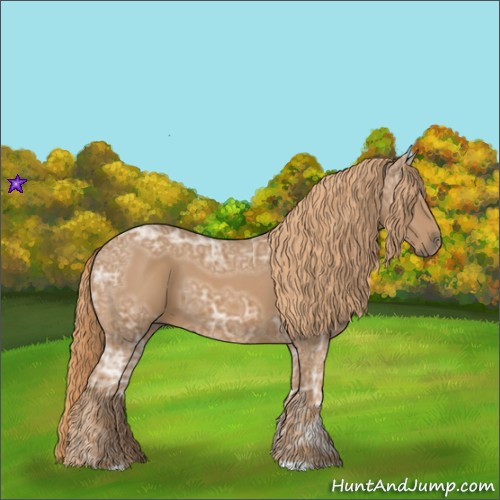 Horse Color:Chestnut Ice 