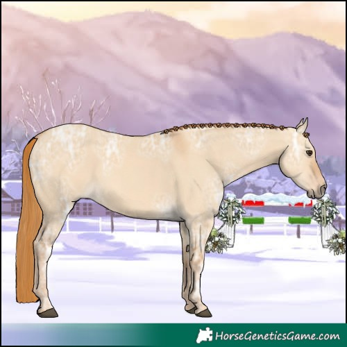 Horse Color:Red Dun Ice 