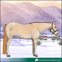 Horse Color:Red Dun Ice 