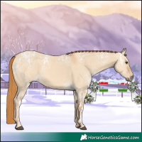 Horse Color:Red Dun Ice 