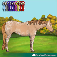 Horse Color:Chestnut Ice 