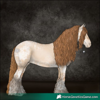 Horse Color:Bay Ice Pearl Dun 
