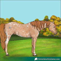 Horse Color:Chestnut Ice 