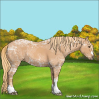Horse Color:Chestnut Ice 