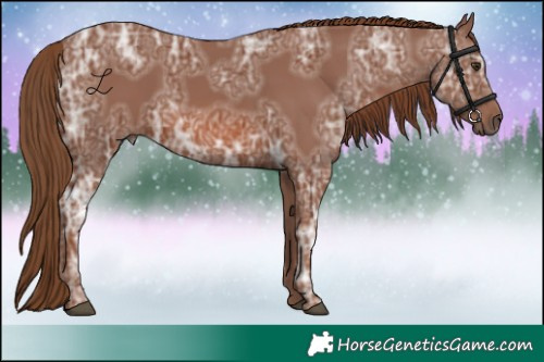 Horse Color:Chestnut Ice 