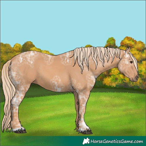 Horse Color:Chestnut Ice 