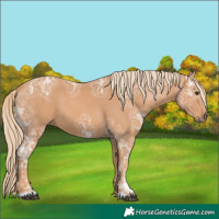 Horse Color:Chestnut Ice 