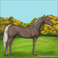 Horse Color:Silver Black 