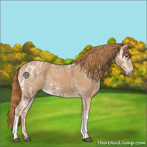 Horse Color:Chestnut Ice 