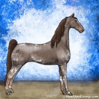 Horse Color:Liver Chestnut Ice 