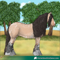 Horse Color:Bay Ice Dun 