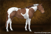 Horse Color:Chestnut Tobiano