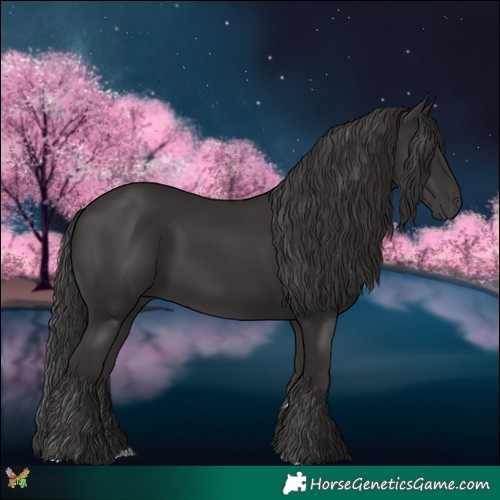 Horse Color:Smoky Black