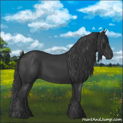 Horse Color:Black 