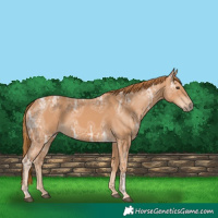Horse Color:Chestnut Ice 