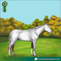 Horse Color:Gray Liver Chestnut Tobiano 