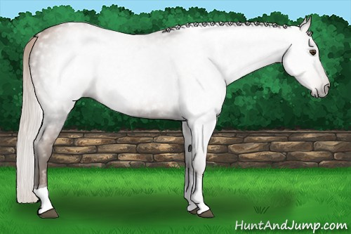 Horse Color:Gray Silver Black Pearl Tobiano
