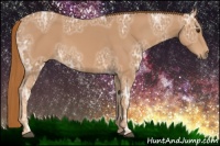 Horse Color:Chestnut Ice