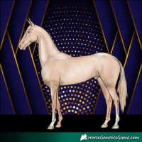 Horse Color:Gold Champagne Pearl Rabicano and Gold Champagne Pearl Rabicano