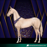 Horse Color:Gold Champagne Pearl Rabicano  and Gold Champagne Pearl Rabicano 