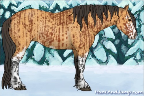 Horse Color:Bay Sabino Rabicano  and Buckskin Sabino Rabicano 