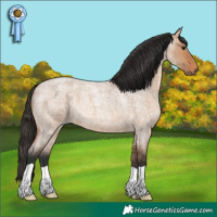 Horse Color:Bay Roan Dun 