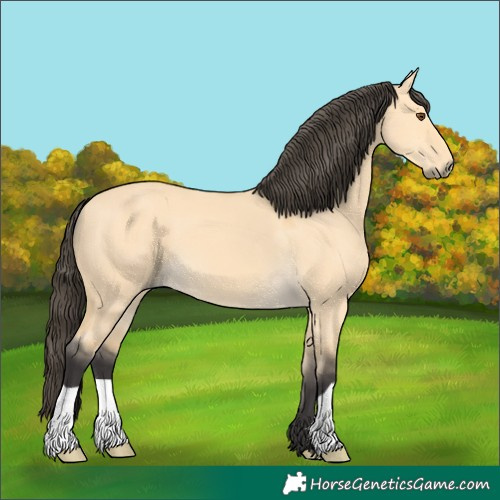 Horse Color:Buckskin Dun 
