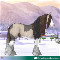 Horse Color:Grullo Sabino Splash  and Classic Champagne Dun Sabino Splash 