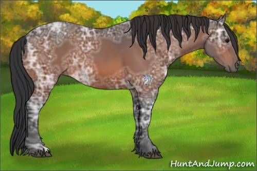 Horse Color:Bay Ice 