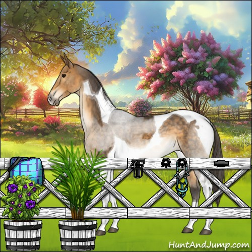 Horse Color:Buckskin Tobiano 