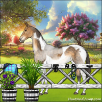 Horse Color:Buckskin Tobiano 