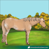 Horse Color:Chestnut Ice 