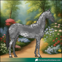 Horse Color:Black Ice 