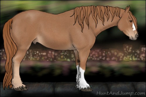Horse Color:Red Roan